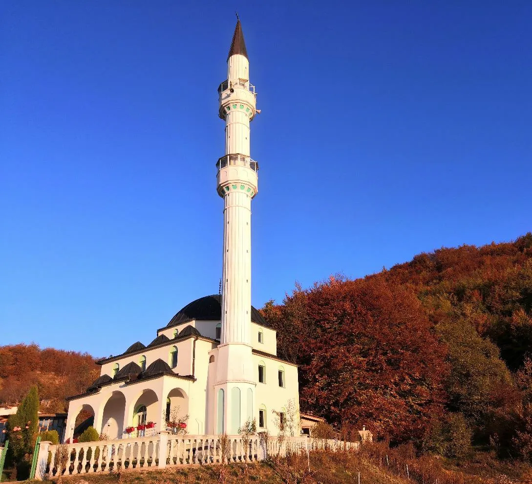 Džamija u Vrševu Petnjica